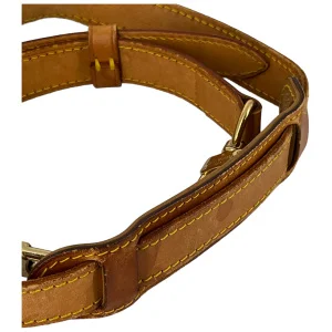 Louis Vuitton Keepall Bandouliere 45 Monogram Canvas
