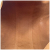 Louis Vuitton Keepall 55 Monogram Canvas Louis Vuitton Louis Vuitton 19