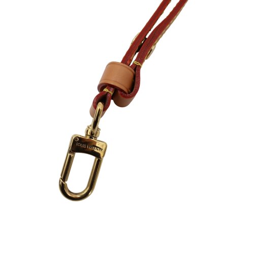 Louis Vuitton Loop PM NEU im SHOP Louis Vuitton 19