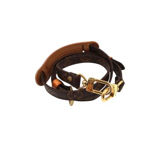 Louis Vuitton Monogram Canvas Schulterriemen Louis Vuitton Louis Vuitton 11 Louis Vuitton Monogram Canvas Schulterriemen Louis Vuitton Louis Vuitton 11
