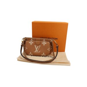 Louis Vuitton Multi Pochette Accessoires Bicolor Arizona Handtaschen Louis Vuitton 29