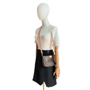 Louis Vuitton Multi Pochette Accessoires Monogram Canvas