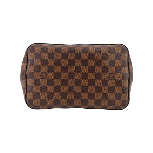 Louis Vuitton NéoNoé Damier Ebene