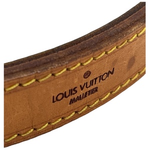 Louis Vuitton Sac Noe Grand Monogram Canvas