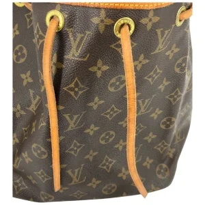 Louis Vuitton Sac Noe Petit Monogram Canvas