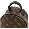 Louis Vuitton Palm Springs Mini Monogram Canvas Handbags Louis Vuitton 28