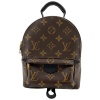 Louis Vuitton Palm Springs Mini Monogram Canvas Handbags Louis Vuitton 19