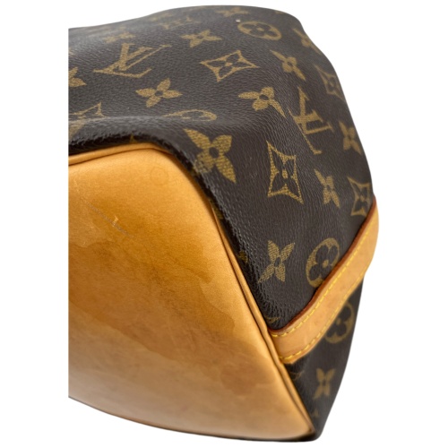 Louis Vuitton Sac Noe Petit Monogram Canvas