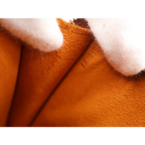 Louis Vuitton Pochette Accessoires Epi Cannelle