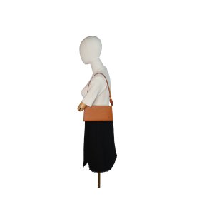 Louis Vuitton Pochette Accessoires Epi Cannelle