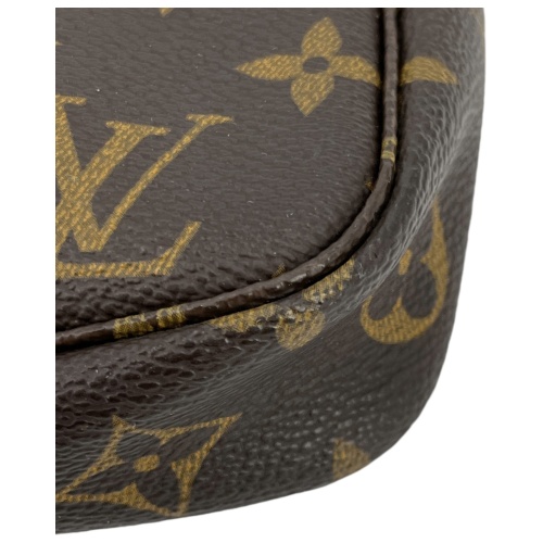 Louis Vuitton Pochette Accessoires Monogram Canvas