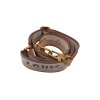 Louis Vuitton Shoulder Strap Louis Vuitton Louis Vuitton 8