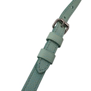 Louis Vuitton Speedy 20 Stardust Vert d’eau