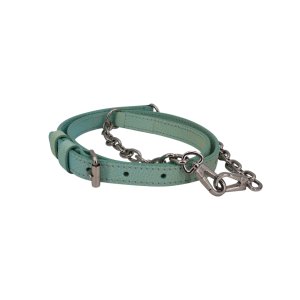 Louis Vuitton Speedy 20 Stardust Vert d’eau
