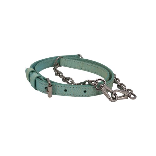 Louis Vuitton Speedy 20 Stardust Vert d’eau