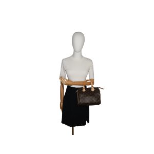 Louis Vuitton Speedy 25 Monogram Canvas
