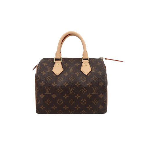 Louis Vuitton Speedy 25 Monogram Canvas