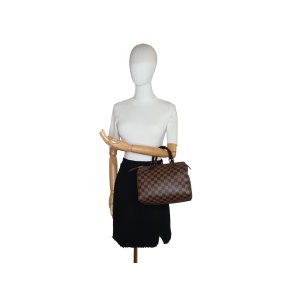 Louis Vuitton Speedy 25 Damier Ebene