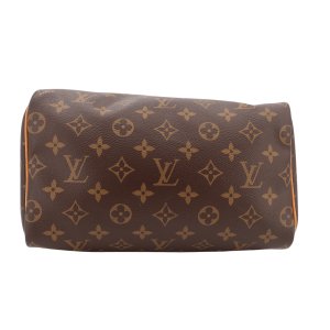 Louis Vuitton Speedy 25 Monogram Canvas