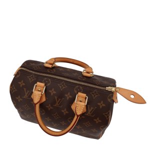 Louis Vuitton Speedy 25 Monogram Canvas