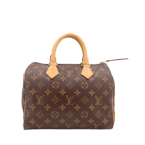 Louis Vuitton Speedy 25 Monogram Canvas