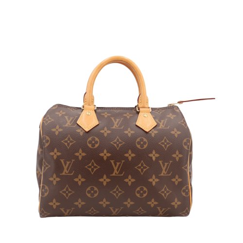 Louis Vuitton Speedy 25 Monogram Canvas