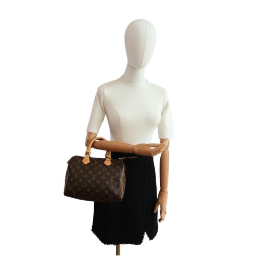 Louis Vuitton Speedy 25 Monogram Canvas