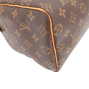 Louis Vuitton Speedy 25 Monogram Canvas