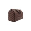 Louis Vuitton Speedy 30 Borse Damier Ebene Louis Vuitton 19