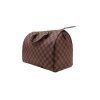Louis Vuitton Speedy 30 Borse Damier Ebene Louis Vuitton 17