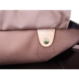 Louis Vuitton Speedy 30 Stephen Sprouse Roses