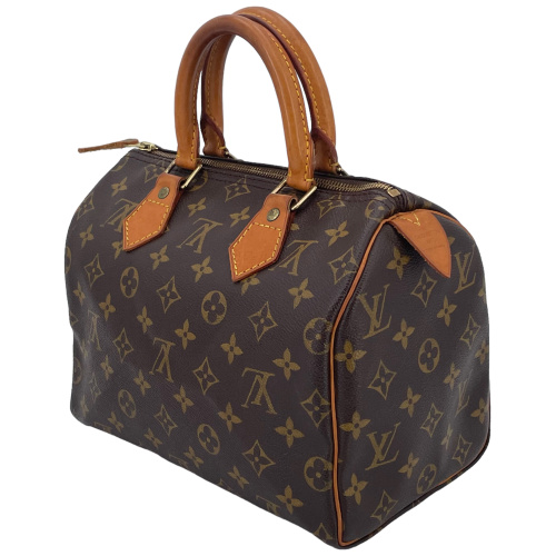 Louis Vuitton Speedy 25 Monogram Canvas