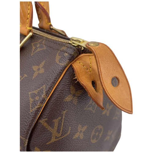 Louis Vuitton Speedy 25 Monogram Canvas