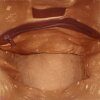 MCM Heritage Bucket Bag MCM MCM 31