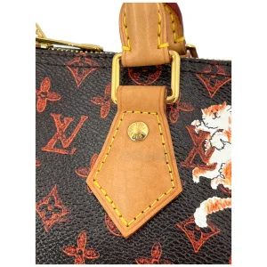 Louis Vuitton Speedy 30 Grace Coddington Catogram