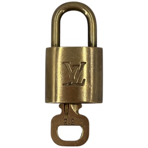 Louis Vuitton Schloss Nr. 313