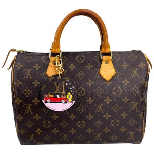 Louis Vuitton Illustre Vivienne Paris Taschenschmuck