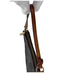 Louis Vuitton Pochette Accessoires Monogram Canvas