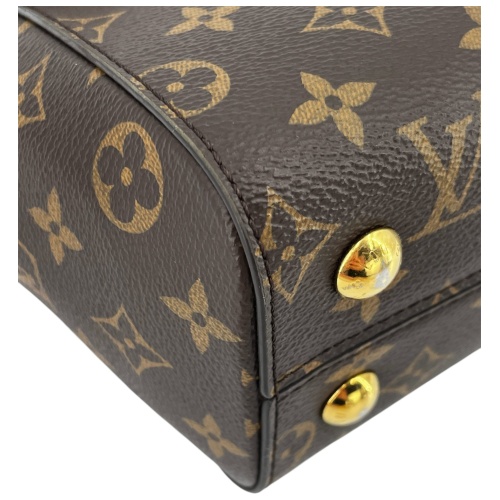 Louis Vuitton Cluny BB Monogram Canvas